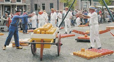 edam cheese market